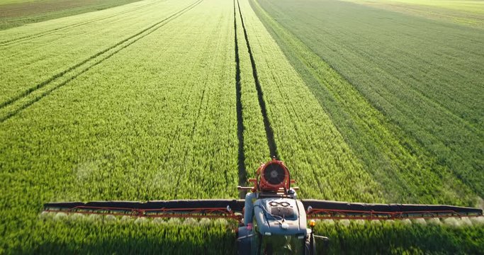 Drone aerial shot of a farmer spraying green wheat field