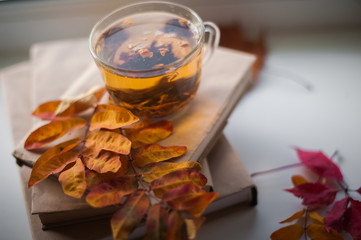 Autumn photography with books, a cup of tea, fallen yellow leaves, chestnuts. On the windowsill are books and a cup of tea. Window after the rain. A card with a place for your text.