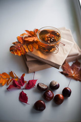 Autumn photography with books, a cup of tea, fallen yellow leaves, chestnuts. On the windowsill are books and a cup of tea. Window after the rain. A card with a place for your text.