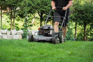 The lawn is mown with the lawn mower
