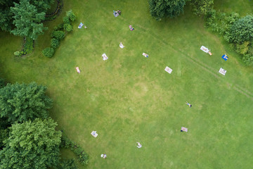 People sunbathe on a green lawn in the park, top view