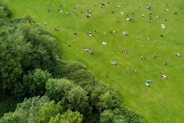 Top view of the crowd of people resting on a green lawn in a park
