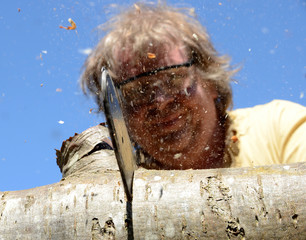 Person seed behind a cutting chainsaw.