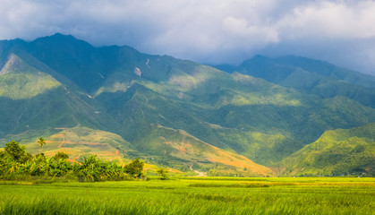 Fototapeta premium Terrace field rice on the harvest season at bac son valley, lang son province, famous tourist destination in northwest Vietnam and harvest season on september each year