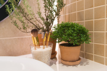 Makeup brush set cosmetic tool in bathroom.