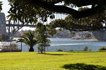 Sydney harbor
