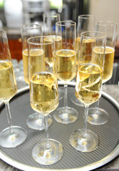 champagne or white wine for event catering