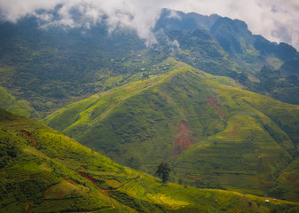 Obraz premium Taras ryżu polnego w sezonie zbiorów w dolinie bac son, prowincja lang son, słynna miejscowość turystyczna w północno-zachodnim Wietnamie i sezon zbiorów we wrześniu każdego roku