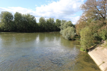 l'eau qui coule entre les arbres