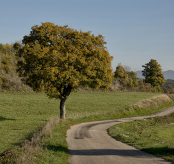 Route sur le causse du Larzac, Le Cros, Hérault, France