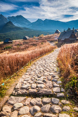 Obraz premium Beautiful path to the Tatras at sunset in Poland