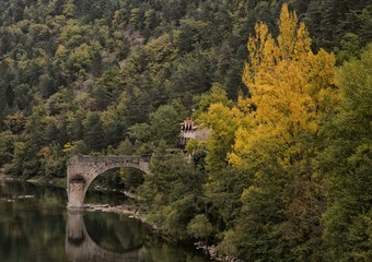Fototapeta na wymiar Pont ruiné sur le Tarn, Le Rozier, Lozère, Occitanie