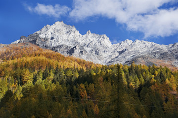 Magici colori autunnali in Valsavaranche
