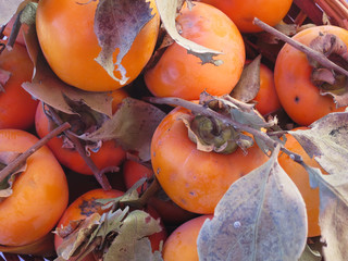 frutta di stagione autunnale cachi su cesto