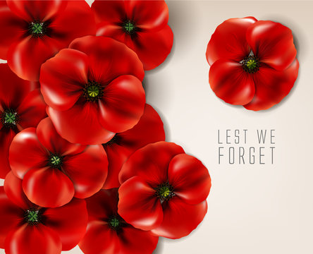 remembrance day - veteran's day- lest we forget
