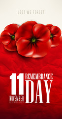 remembrance day - veteran's day- lest we forget
