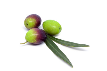Three olives and two leaves