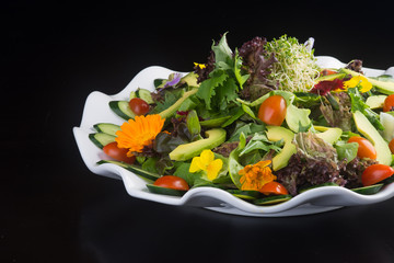 salad. salad on the background