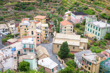 Daylight view to Manarola city from top