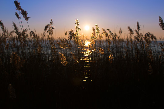 Alba sul canneto