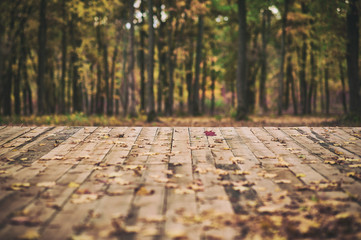 Wooden floor terrace over autumn forest background
