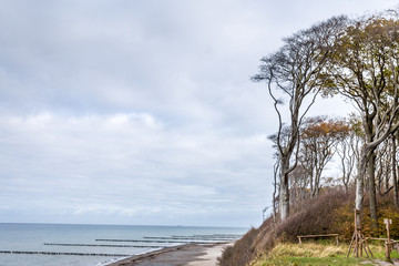 Gespensterwald Nienhagen