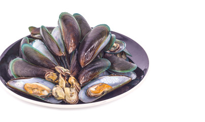 Fresh mussel on white background