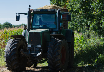 Maishäcksler und Traktor bei der Maisernte