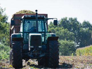 Maisernte, Maishäcksler in Aktion, Erntewagen mit Traktor