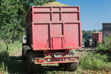 Maisernte, Maish&auml;cksler in Aktion, Erntewagen mit Traktor
