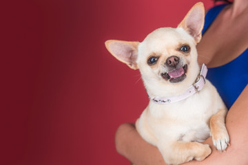 Protection, alertness, bravery