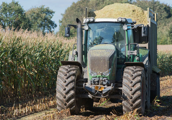 Maisernte, Maishäcksler in Aktion, Erntewagen mit Traktor