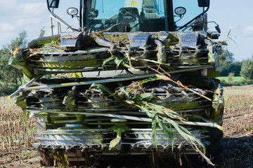 Maisernte, Maishäcksler in Aktion, Erntewagen mit Traktor