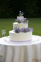 Obraz na płótnie Canvas a marriage cake