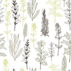 Fototapeta na wymiar Vector seamless pattern. with hand drawn herbs.
