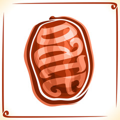 Vector logo for Date Fruit, label with one whole dry fruit for package of islamic Ramadan treat dessert, price tag with original font for word date inscribed in fruit shape, sticker for vegan store.