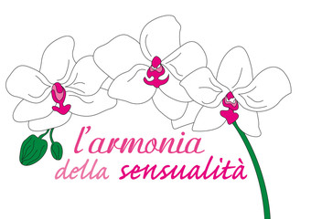 orchidea bianca © photoxgraph.it