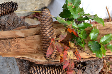 Herbstdekoration
