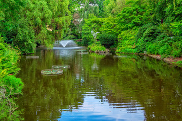 View of beautiful garden with fountain,  green trees, bushes and blue sky, reflecting in a pond water. Summer natural landscape