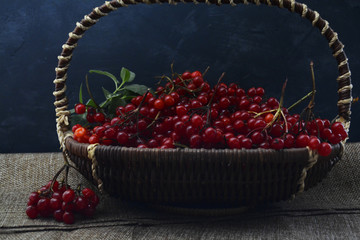 basket with berries of viburnum on the table