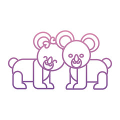 cute couple of koalas icon over white background vector illustration