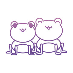 cute couple of frog sicon over white background vector illustration