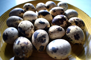 quail eggs in plate 