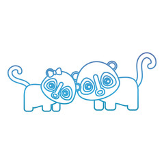 cute couple of spectacled bears icon over white background vector illustration