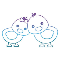 cute couple of ducks icon over white background vector illustration