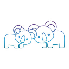 cute couple of  koala icon over white background vector illustration