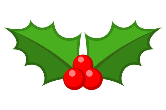Holly berry. Christmas symbol vector illustration