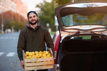 Man with wooden box of yellow ripe golden apples in hands at the orchard farm loads it to his car trunk. Grower harvesting in the garden is holding organic apple crate. 