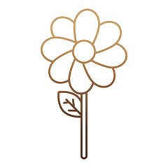beautiful flower icon over white background vector illustration