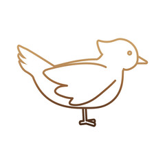 dove bird icon over white background vector illustration
